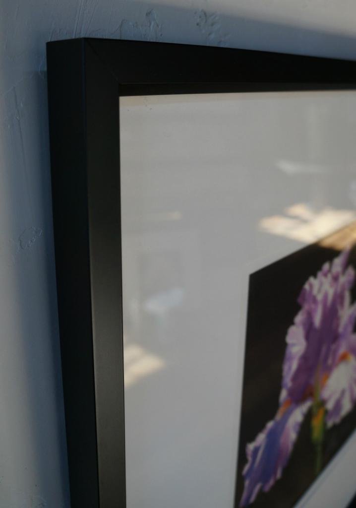 Amazon.com Art: Lilac Iris : Watercolor : Tanis Bula