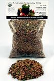 5 Part Salad Sprout Mix - Certified Organic Sprouting Seed: Radish, Broccoli, Alfalfa, Green Lentil & Mung Bean 1 Lb. (16 Oz.) of High Germination Sprout Seeds for Planting, Gardens, Cooking or Delicious Salad Sprouts: Sprouts Are High in Vitamins A, B-1, B-6 and C, Folic and Pantothenic Acids, Niacin, Potassium, Iron and Phosphorous & Chlorophyll. Growing Sprouts Is Healthy & Fun.