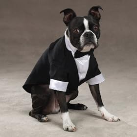 51no%2B3oYiAL. SL500 AA280  Esc Yappily Ever After Groom Tuxedo Lrg