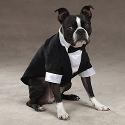 Dog Wedding Tuxedo Groom Outfit Medium