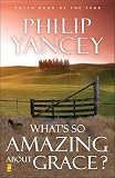 What's So Amazing About Grace?