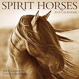 Spirit Horses 2012 Wall Calendar