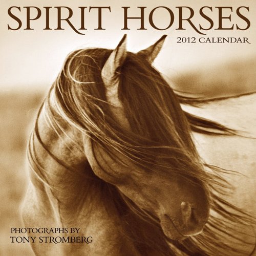 Spirit Horses 2012 Wall Calendar