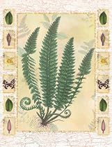 Forest Sword Fern Art Poster Print by Walter Robertson, 8x10