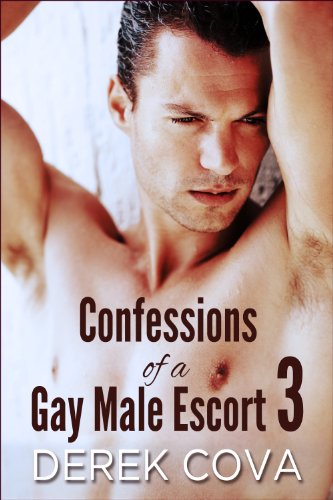 Confessions of a Gay Male Escort 3: Bound in Public