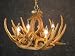 Whitetail Deer 6 Antler Chandelier