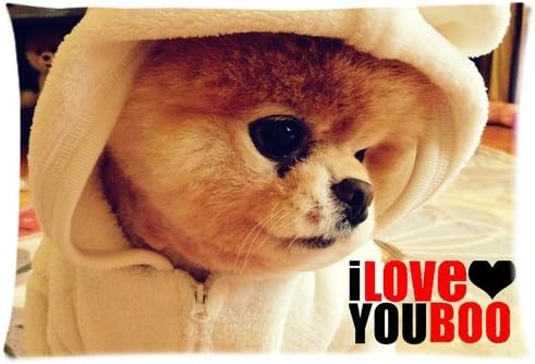 DiyCaseStore Animals Series Cute dog boo Custom Rectangle Pillowcase Covers Standard Size 20"x30"(two sides)
