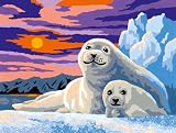 Ravensburger 28200 - Gl�ckliche Robben - Malen nach Zahlen, 24 x 18 cm