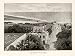 1901 Print Beach Colombo Sri Lanka Sinhalese British Era Asia Modera City Ocean - Original Halftone Print