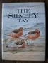 The Silvery Tay: Paintings and Sketches from a Scottish River