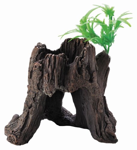 ナチュラルシェルターきり株Ｌ