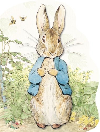 Rabbits