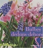 Bulbes dedans-dehors