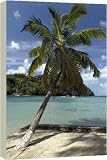 St. Lucia - Azure setting, beach and palm tree at Marigot Bay. - 20 Inch Canvas Print (51cm) by Ardea