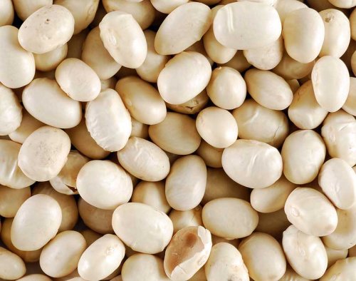 Marrow Beans By ChefShop.com by Bacon