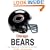 Chicago Bears: The Complete Illustrated History
