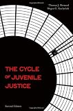 The cycle of juvenile justice