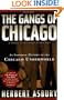 The Gangs of Chicago: An Informal History of the Chicago Underworld (Illinois)