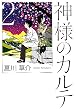 �_�l�̃J���e 2