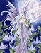 Night Blossom Amy Brown 81/2X11 Fairy Art Print Faery