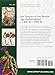 Sea Peoples of the Bronze Age Mediterranean c.1400 BC–1000 BC (Elite, 204)