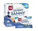 Revolution Foods Organic Jammy Sammy Snack Size Sandwich Bar, Blueberry & Oatmeal, 5-Count Sandwich Bars (Pack of 5)