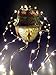 Starry Lights 40 Ft/240 LEDs Fairy String Lights, White