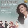 The Gypsies of Wallachia