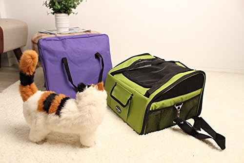 Car dog bag pet out backpack travel portable folding bag dog and cat bag (GREEN)