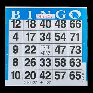Amazon.com : 1 on Blue Bingo Paper Card Sheets (500 Sheets Per Pack ...
