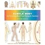 The Subtle Body: An Encyclopedia of Your Energetic&hellip by Cyndi Dale