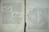 1902 年の家禽詰め込む機械サセックスの粉砕のオートムギ鳥