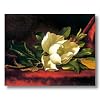 White Magnolia Flower Floral Contemporary Picture Art Print