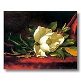 White Magnolia Flower Floral Contemporary Home Decor Wall Picture Art Print