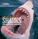 Face to face with sharks