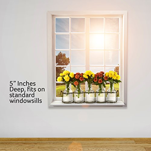 Set of 5 Clear Glass Mini Vases in Black Metal Rack, 5Inches