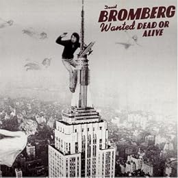 David Bromberg Picture 4