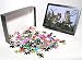 Photo Jigsaw Puzzle of PM-5976 Taxidermy - Long-eared Owl from Ardea Wildlife Pets