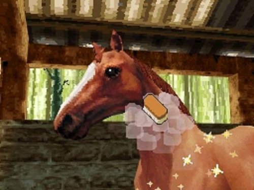 The Whitaker Family Presents: Horse Life (Nintendo DS)