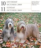 Art Gallery Calendar 2009 (Page a Day Gallery Calendar)