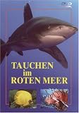 Eigenschaften Komplett Video  / Tauchen im Roten Meer