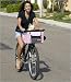 Buddy Dog Bike Basket - Grey