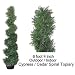 SPJPLANTS Artificial 6 foot 4 inch Cypress / Cedar Spiral Outdoor Indoor Potted Topiary Tree Plant packed with styrofoam peanuts