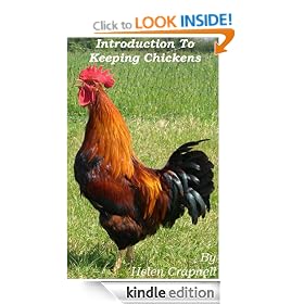 Introduction to Keeping and Breeding Chickens