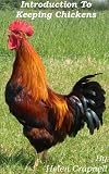 Introduction to Keeping and Breeding Chickens