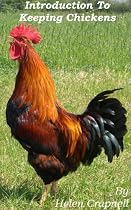 Introduction to Keeping and Breeding Chickens-From Free Kindle Books Library