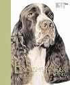 Best Breed English Springer Spaniel - an Experts Guide