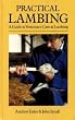 Practical Lambing: A Guide to Veterinary Care at Lambing