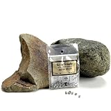 Water Gremlin Removable Split Shot Packs Size: BB