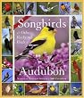 Audubon 365 Songbirds and Other Backyard Birds Picture-A-Day Calendar 2009 (Picture-A-Day Wall Calendars)